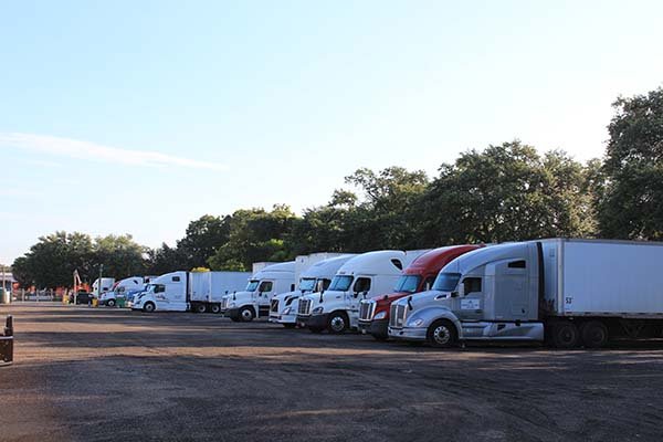 Trucks parked at Thorpe Rd facility